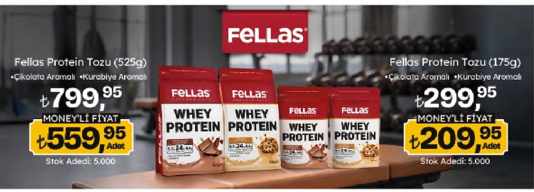 Fellas Protein Tozu 525G