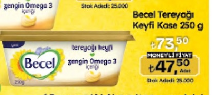 Becel Tereyagi Keyfi Kase 250 G