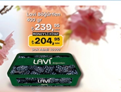 Lavi Böğürtlen 400G