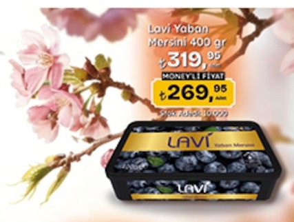 Lavi Yaban Mersini 400G