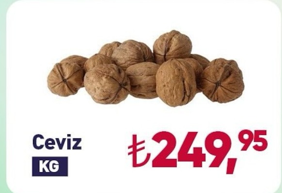 Ceviz Kg
