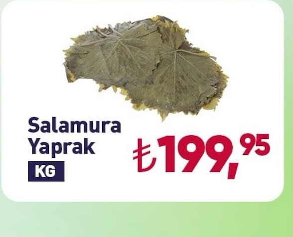 Salamura Yaprak Kg