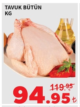 Tavuk Bütün Kg