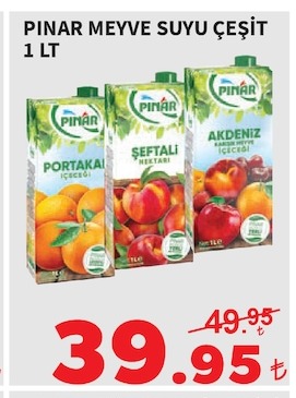 Pinar Meyve Suyu Çeşit 1 Lt