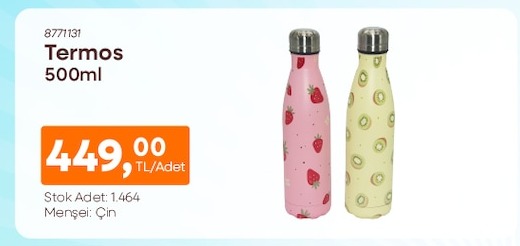 Termos 500Ml