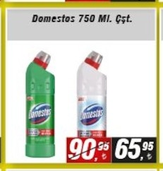 Domestos Çeşit 750 Ml
