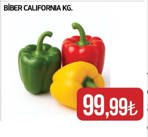 Biber California Kg
