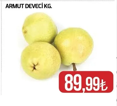 Armut Deveci Kg.