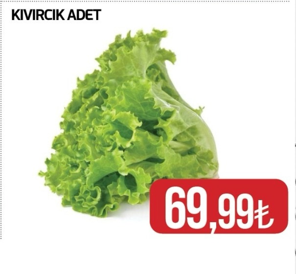 Kıvırcık Adet