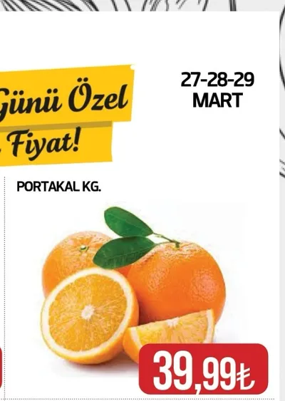 Portakal Kg.