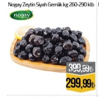 Nogay Zeytin Siyah Gemlik Kg 260-290 Klb