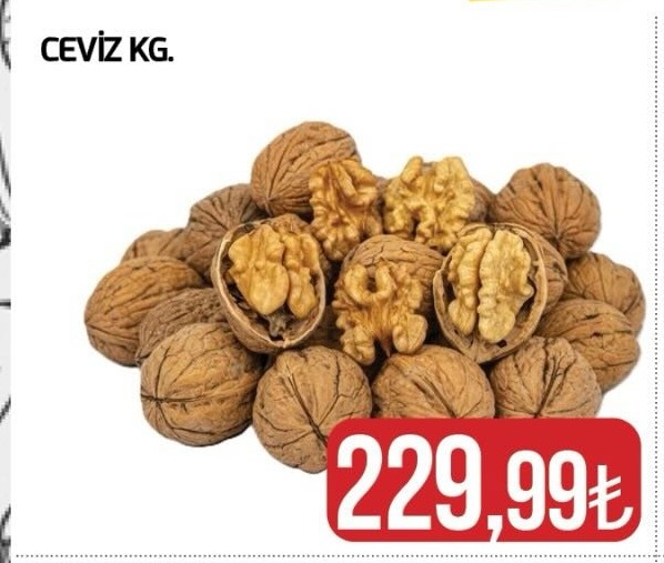 Ceviz Kg