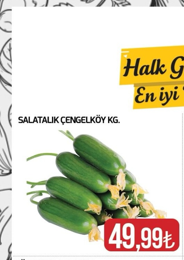 Salatalik Çengelköy Kg.