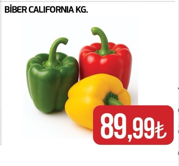 Biber California Kg
