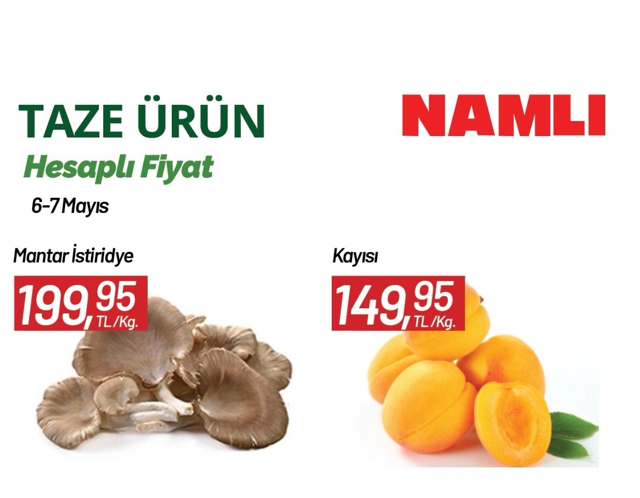 Namlı Mantar İstiridye Kg