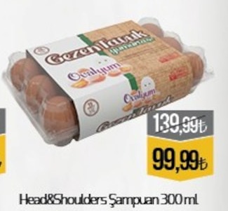 Gezem Yumurta Ovakivum 15Li
