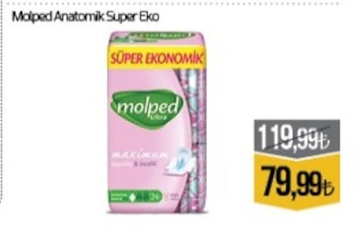 Molped Anatomik Super Eko