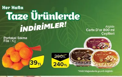 Algida Carte D'Or Çesitleri