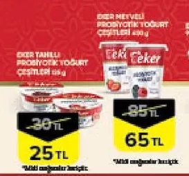 Eker Meyveli Probiyotik Yoğurt Çeşitleri 450 G