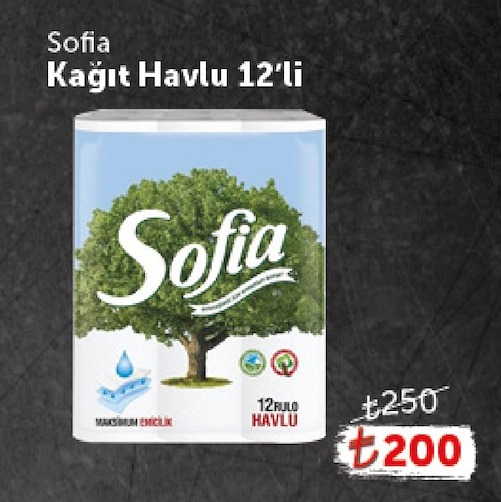 Sofia Kağıt Havlu 12'Li