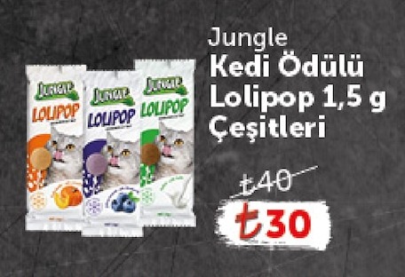 Jungle Kedi Ödülü Lolipop 1,5 G Çeşitleri