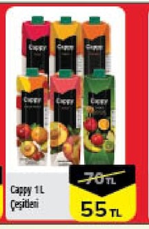 Cappy 1 L Çeşitleri