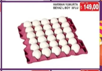 Harman Yumurta Beyaz L Boy 30'Lu