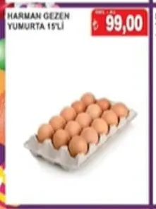 Harman Gezen Yumurta 15'Li