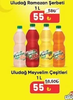 Uludağ Meyvelim Çeşitleri 1 L