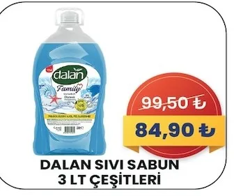 Dalan Sivi Sabun 3 Lt Çeşitleri
