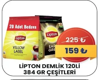 Lipton Demlik 120'Li 384 Gr Çeşitleri