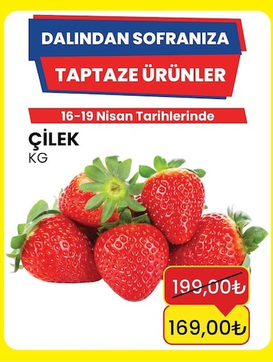 Çilek Kg