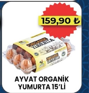 Ayva Organik Yumurta 15'Li
