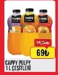 Cappy Pulpy 1 L Çeşitleri