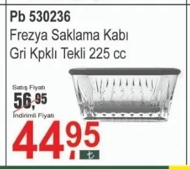 Pb 530236 Frezya Saklama Kabı Gri Kpklı Tekli 225 Cc
