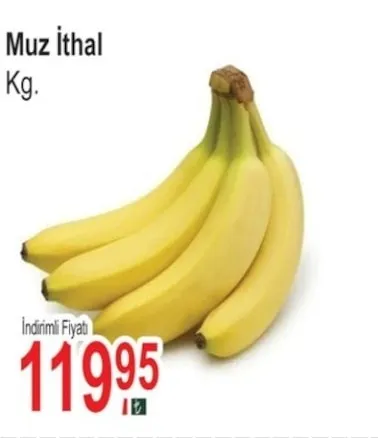 Mandalina Murkot Kg.