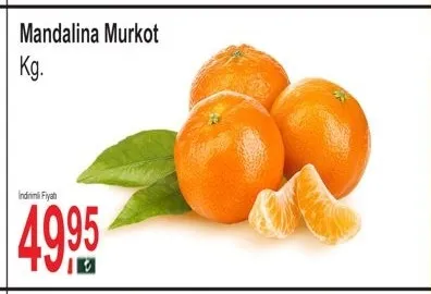 Mandalina Murkot Kg.
