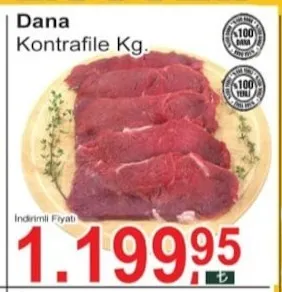 Dana Kontrafile Kg.
