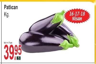 Patlıcan Kg.