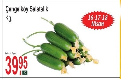 Çengelköy Salatalık Kg.