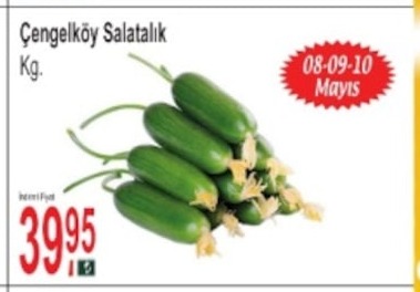 Çengelköy Salatalık Kg.