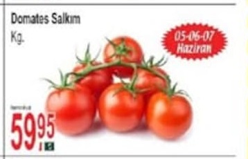 Domates Salıım Kg.