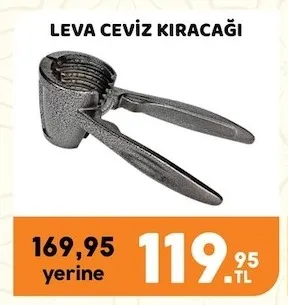 Leva Ceviz Kıracağı