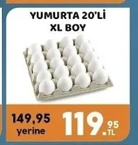 Yumurta 20'Li Xl Boy