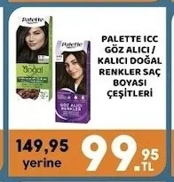 Palette Icc Göz Alıcı / Kalıcı Doğal Renkler Saç Boyası Çeşitleri