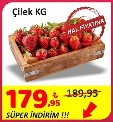 Çilek Kg
