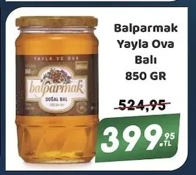 Balparmak Yayla Ova Balı 850 Gr