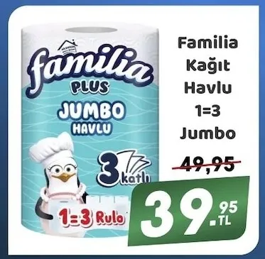 Familia Kağıt Havlu 1=3 Jumbo