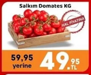 Salkım Domates Kg