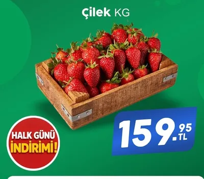 Çilek Kg